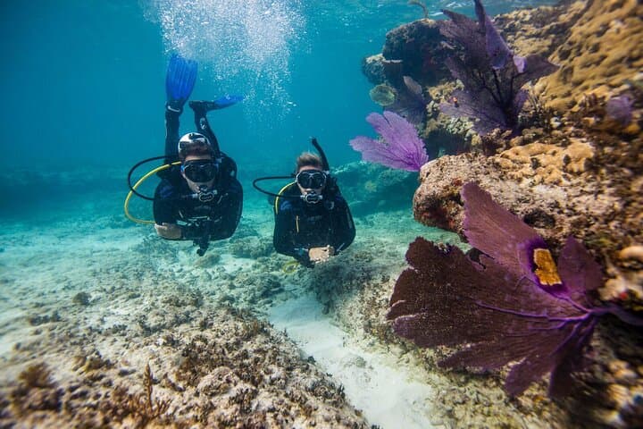 Introductory Diving in Aruba photo highlight 9