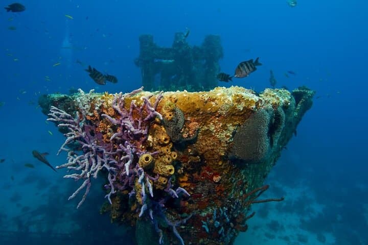 Introductory Diving in Aruba photo highlight 10
