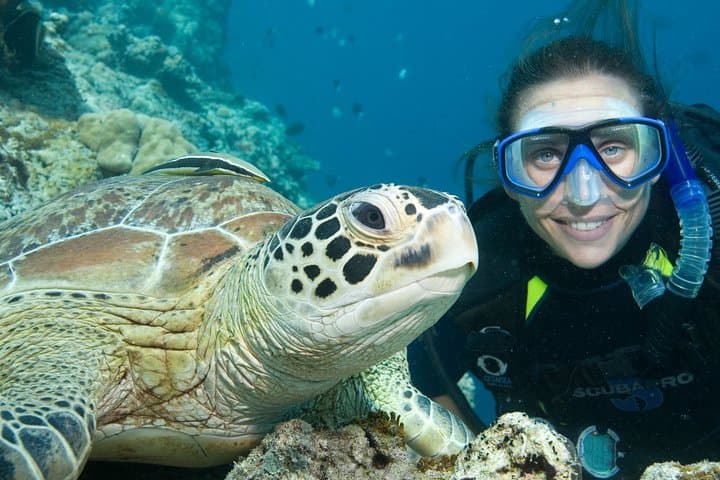 Aruba Red Sail Sports One or Two Tank Scuba Dive photo highlight 6