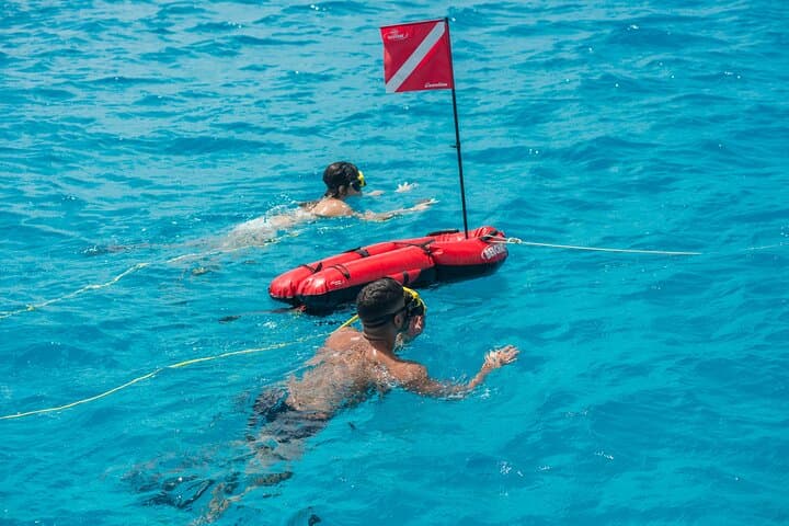 Luxury Lagoon Cruise in Aruba photo highlight 12