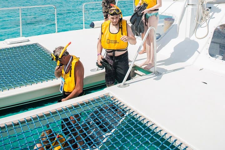 Aruba Sailing & Snorkeling Experience photo highlight 11