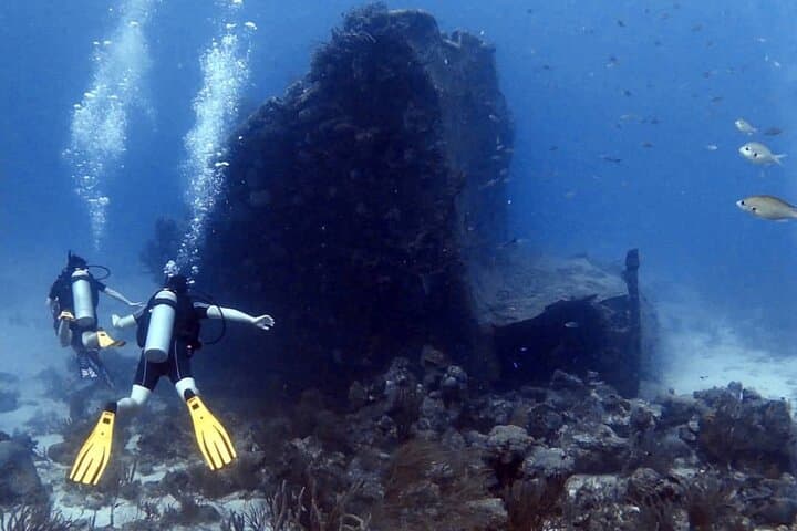 Aruba 2-Tank Dives Certified Divers Experience photo highlight 7