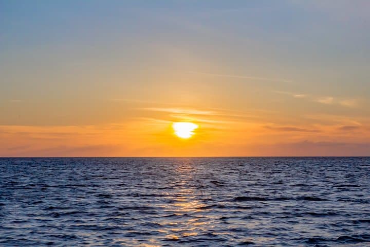 Catamaran Sunset Adventure Cruise Aboard The Dolphin photo highlight 4