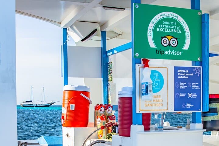 Catamaran Dolphin Snorkeling Cruise: Open bar, Light Lunch & I Love Aruba Shirt photo highlight 13