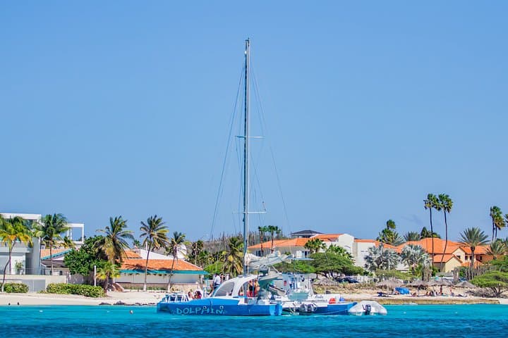 Catamaran Dolphin Snorkeling Cruise: Open bar, Light Lunch & I Love Aruba Shirt photo highlight 14