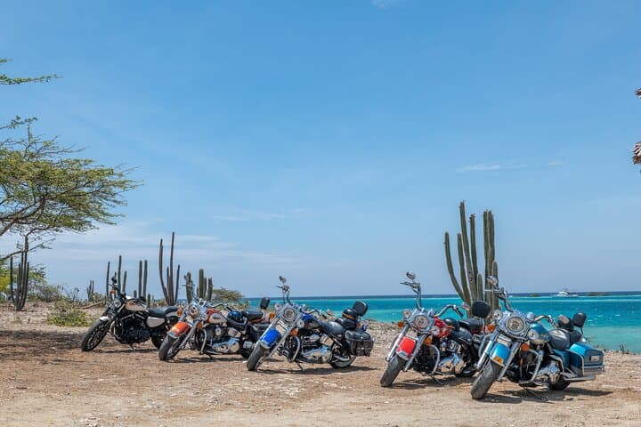 Harley-Davidson RENTALS ONLY 4 hrs in Aruba