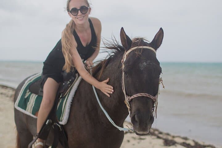 North Countryside National Park & Beach Horseback Ride photo highlight 29