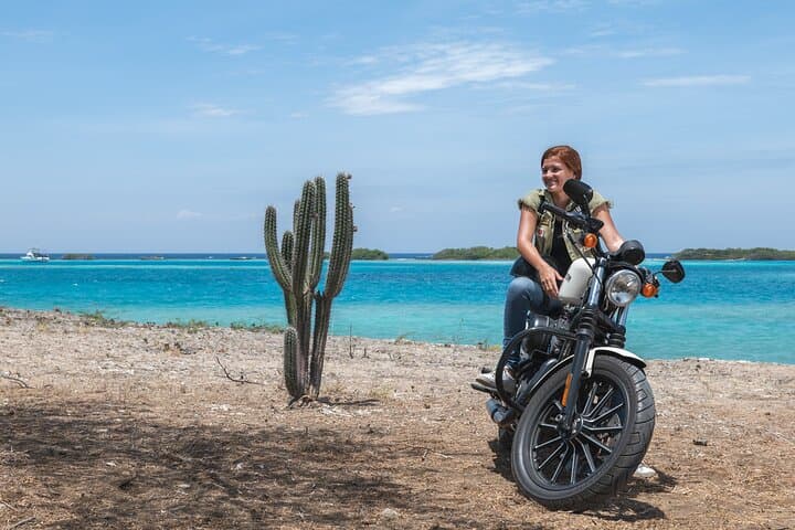 Harley-Davidson RENTALS ONLY 4 hrs gallery photo 5