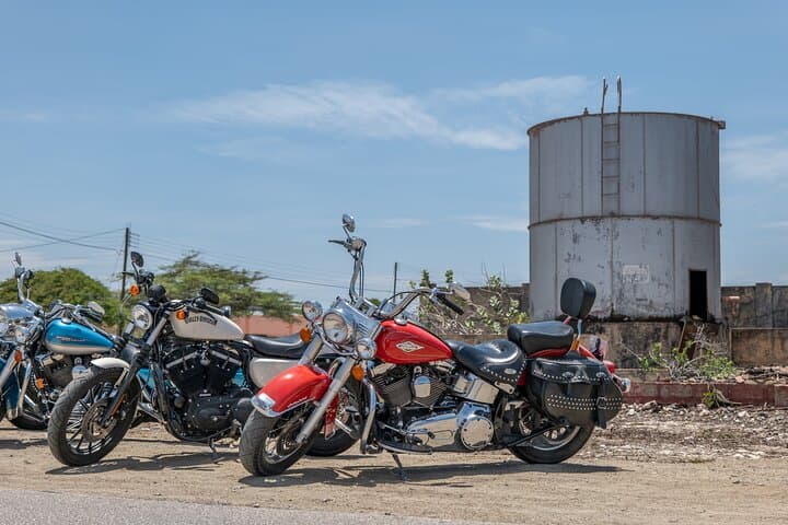 Harley-Davidson RENTALS ONLY 4 hrs gallery photo 4