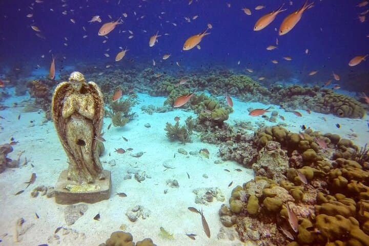 Aruba Discover Scuba Diving photo highlight 4