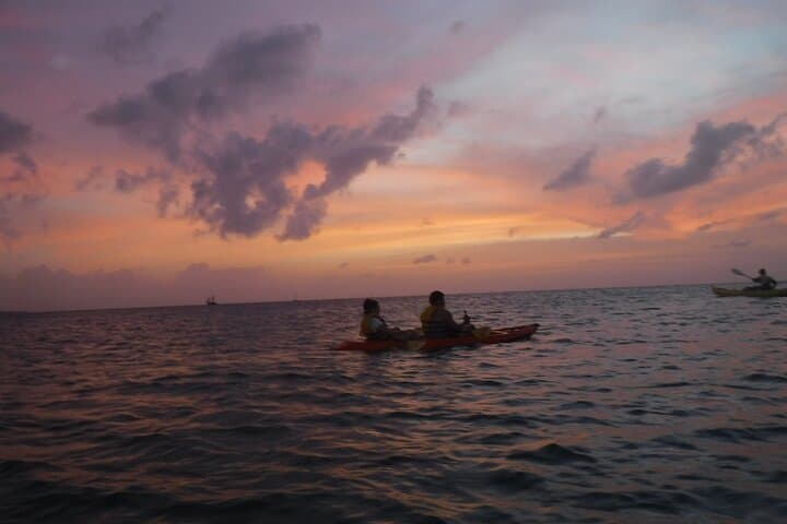 Night Glass Kayak Tour photo highlight 7