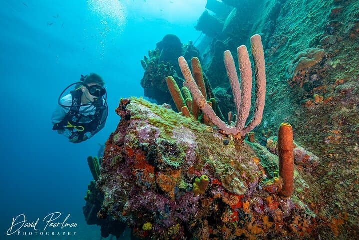 Introductory Diving in Aruba photo highlight 13