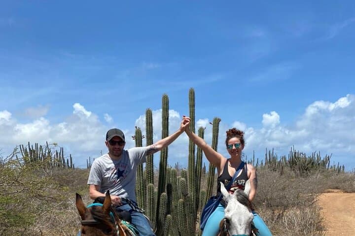 North Countryside National Park & Beach Horseback Ride photo highlight 35