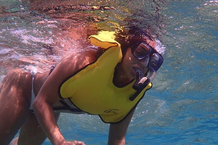 Snorkeling with Solar Power Sea Scooters - Group Tour gallery photo 5