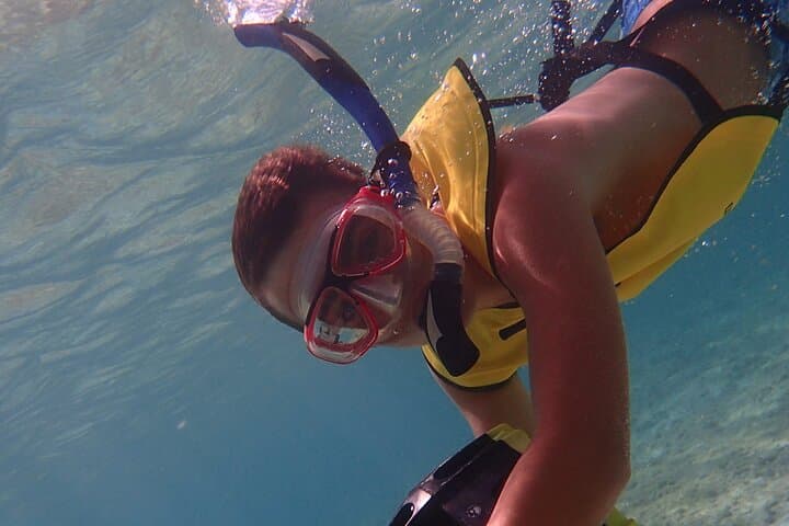Snorkeling with Solar Power Sea Scooters - Group Tour photo highlight 6