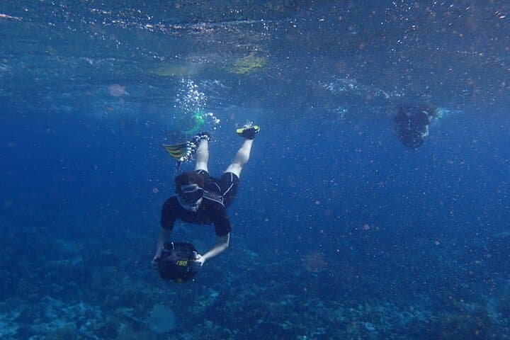 Snorkeling with Solar Power Sea Scooters - Group Tour photo highlight 9