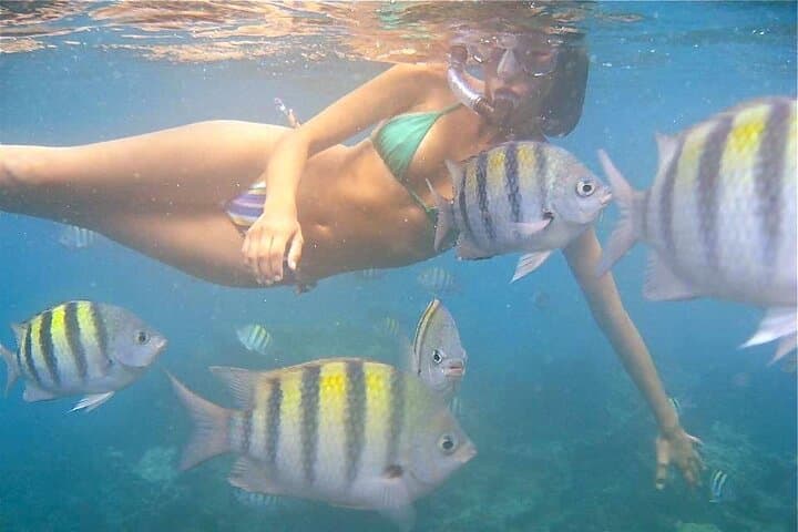 Jolly Pirate Morning Sail and Snorkel Cruise in Aruba photo highlight 4