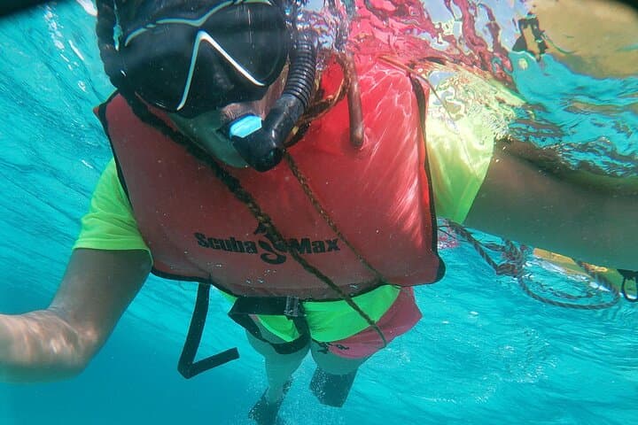 Discover Snorkeling Mangel Halto Aruba photo highlight 6