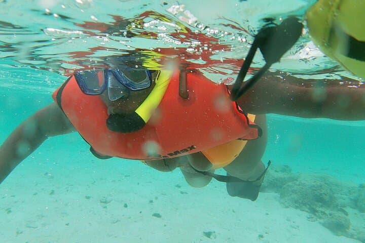 Discover Snorkeling Mangel Halto Aruba photo highlight 10