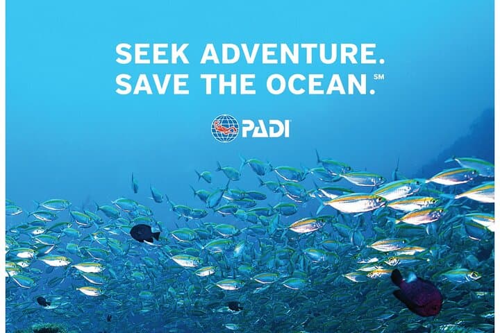 Aruba PADI Discover Scuba Diving Program Non Certified Divers photo highlight 8