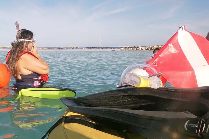Discover Snorkeling Tour Mangel Halto & Baby Beach photo highlight 6