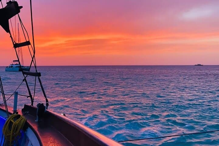 All Inclusive Afternoon Sunset Snorkel Tour photo highlight 5