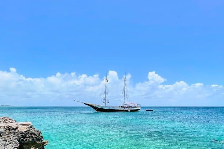 Sailaway Morning Adventure Tour photo highlight 4