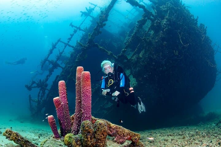 Aruba Red Sail Sports One or Two Tank Scuba Dive photo highlight 16