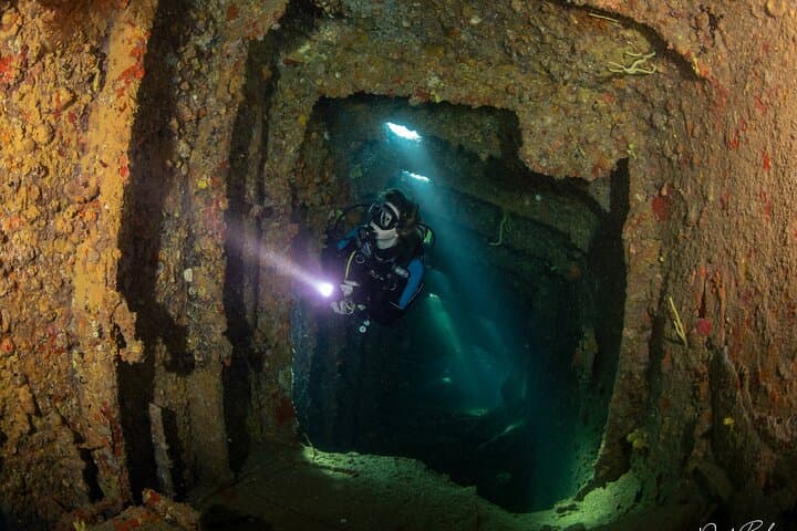 Aruba Red Sail Sports One or Two Tank Scuba Dive photo highlight 18
