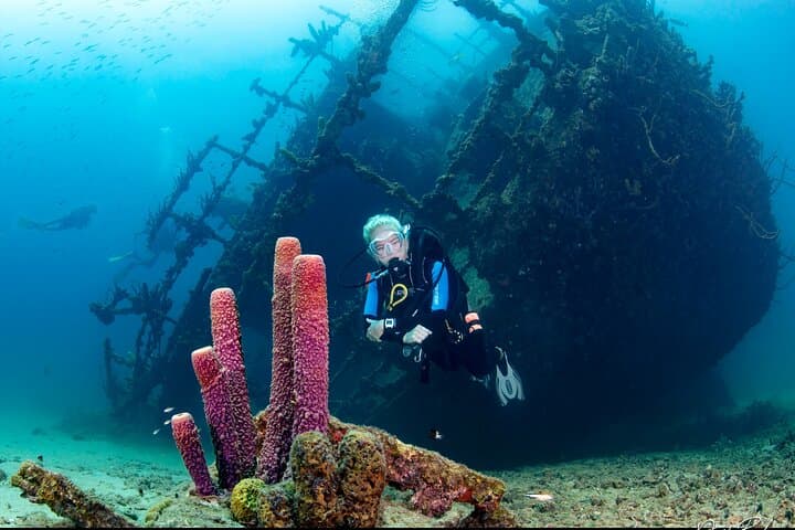 Red Sail Aruba Night Diving Aruba photo highlight 16