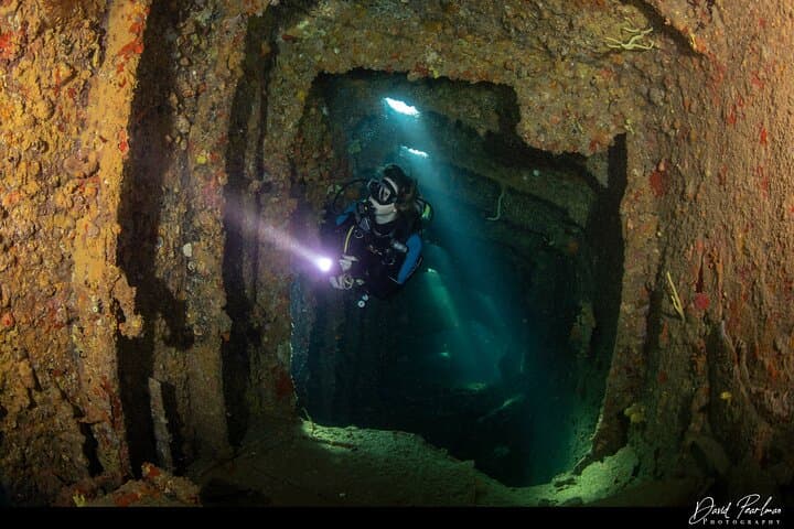 Red Sail Aruba Night Diving Aruba photo highlight 17