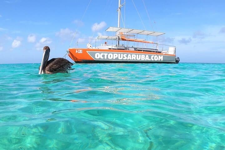 Half-Day Aruba Special Champagne Brunch Cruise photo highlight 5