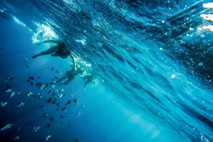 Palm Pleasure Morning Snorkel Adventure photo highlight 11