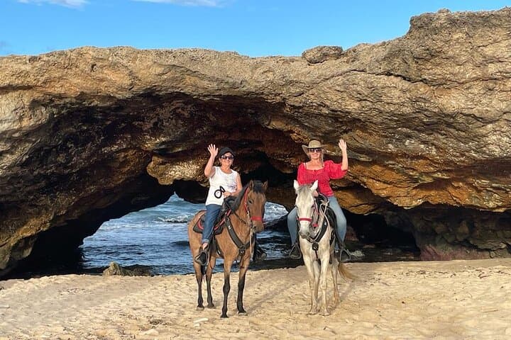 2-Hour Horseback Riding Tour to Little Natural Bridge in Aruba photo highlight 1