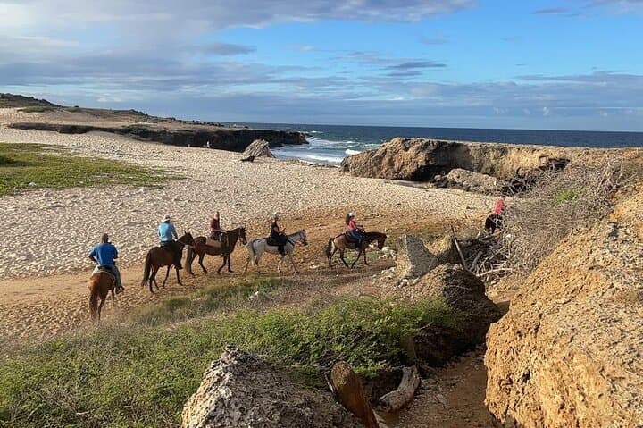 2-Hour Horseback Riding Tour to Little Natural Bridge in Aruba photo highlight 2