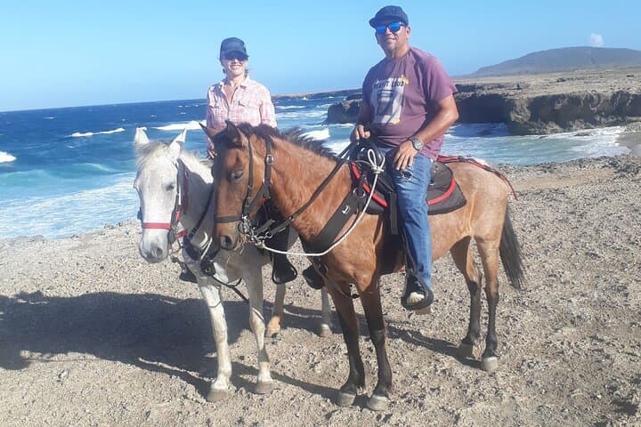 2-Hour Horseback Riding Tour to Little Natural Bridge in Aruba photo highlight 4