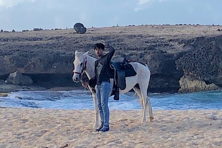 2-Hour Horseback Riding Tour to Little Natural Bridge in Aruba photo highlight 6
