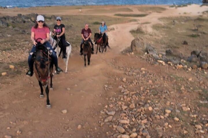 2-Hour Horseback Riding Tour to Little Natural Bridge in Aruba photo highlight 8