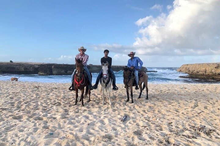 2-Hour Horseback Riding Tour to Little Natural Bridge in Aruba photo highlight 10