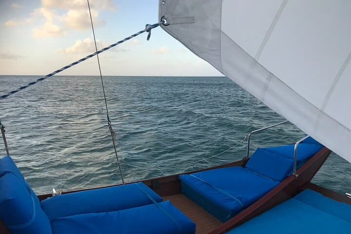 Aruba VIP Morning Delight Champagne Sailing and Snorkeling Cruise with Lunch photo highlight 3