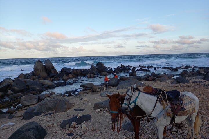 North Countryside National Park & Beach Horseback Ride photo highlight 40