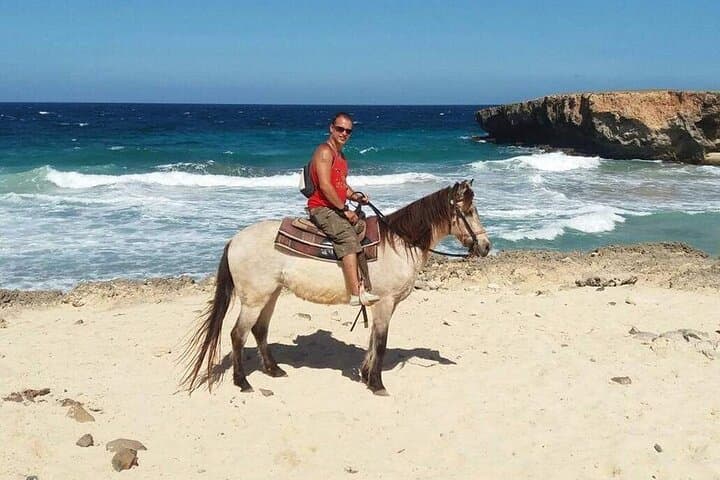 North Countryside National Park & Beach Horseback Ride photo highlight 41