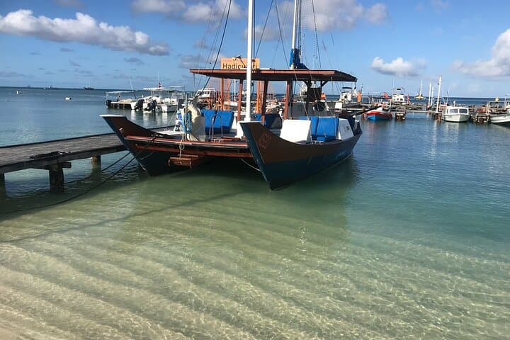 Adults Only Catalina Bay Small-Group Afternoon Snorkel Sunet Sail with Snacks photo highlight 9
