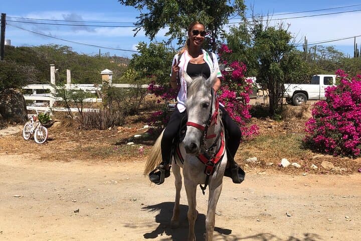 2-Hour Horseback Riding Tour to Little Natural Bridge in Aruba photo highlight 18