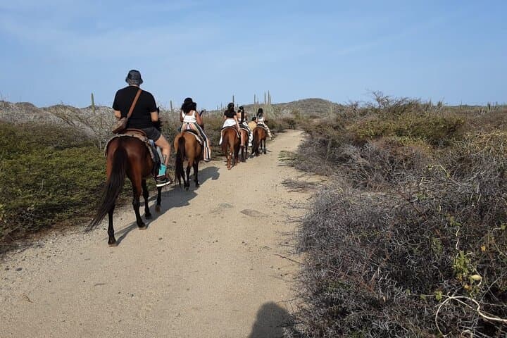 North Countryside National Park & Beach Horseback Ride photo highlight 42