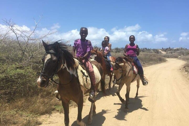 North Countryside National Park & Beach Horseback Ride photo highlight 43