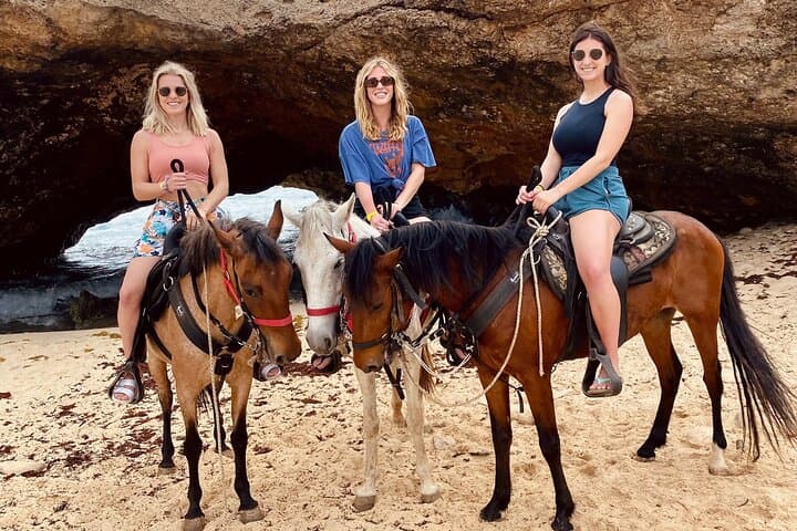 2-Hour Horseback Riding Tour to Little Natural Bridge in Aruba photo highlight 19