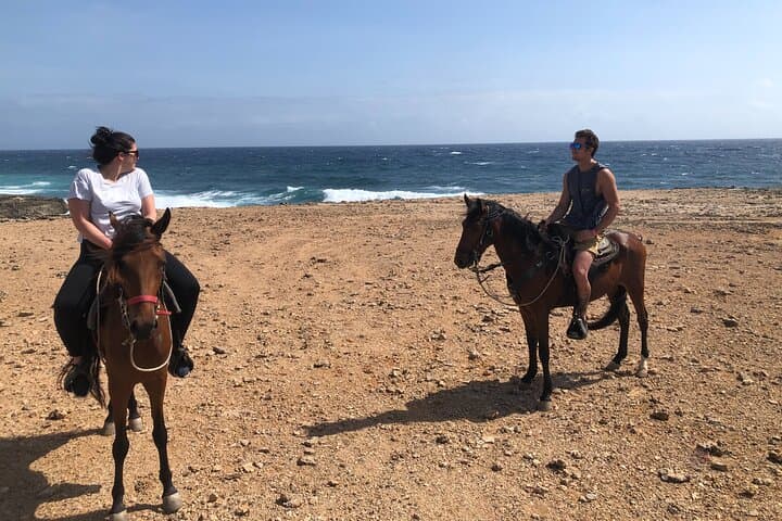 2-Hour Horseback Riding Tour to Little Natural Bridge in Aruba photo highlight 20