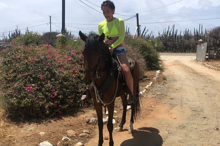 2-Hour Horseback Riding Tour to Little Natural Bridge in Aruba photo highlight 22