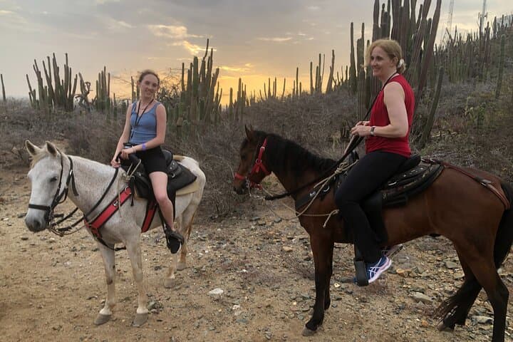 2-Hour Horseback Riding Tour to Little Natural Bridge in Aruba photo highlight 24